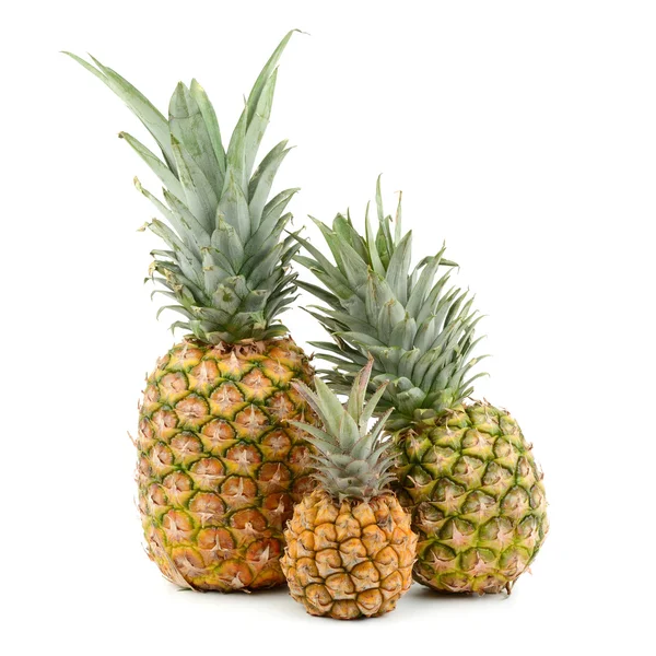 Raccolta ananas — Foto Stock