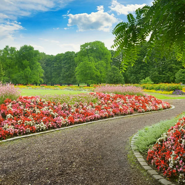 Bellissimo vicolo con fiori in fiore nel parco — Foto Stock