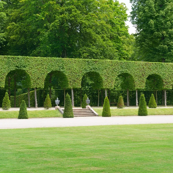 Vacker gränd i parken — Stockfoto