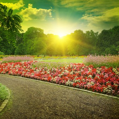 Günbatımı güzel bir parkta