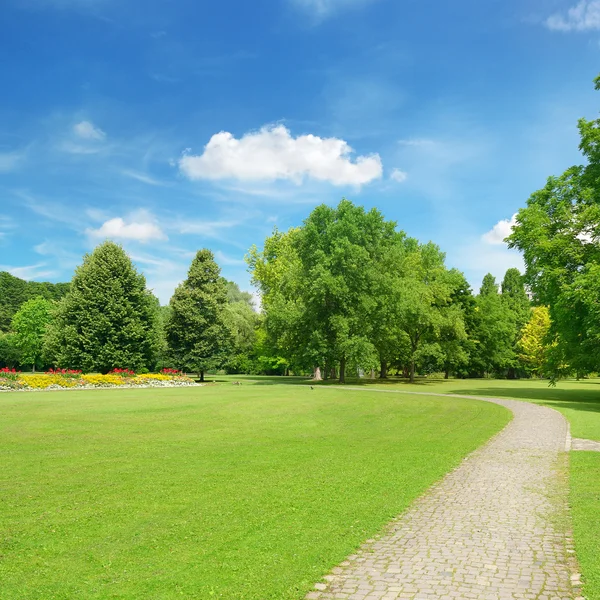 Piękna łąka w parku — Zdjęcie stockowe