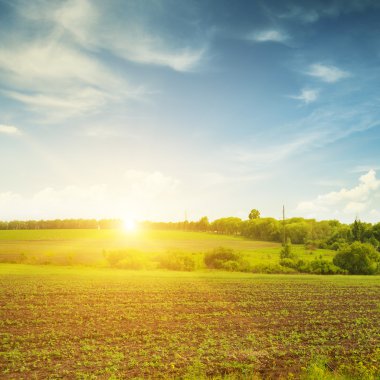 Yeşil alanda güzel bir gün batımı