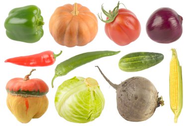 A variety of vegetables are arranged on a white background, including bell pepper, pumpkin, tomato, onion, chili, cucumber, corn, turban squash, cabbage, and beetroot. The composition highlights color, texture, and natural freshness with copy space.