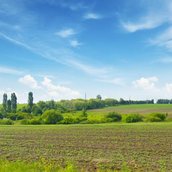 Voorjaarsweide en blauwe lucht — Stockfoto