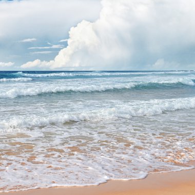 dalgalar deniz ve sarı kum