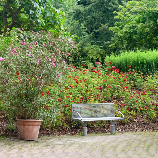 Banco em um belo parque — Fotografia de Stock