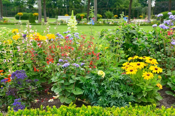 Macizos florecientes en el parque — Foto de Stock