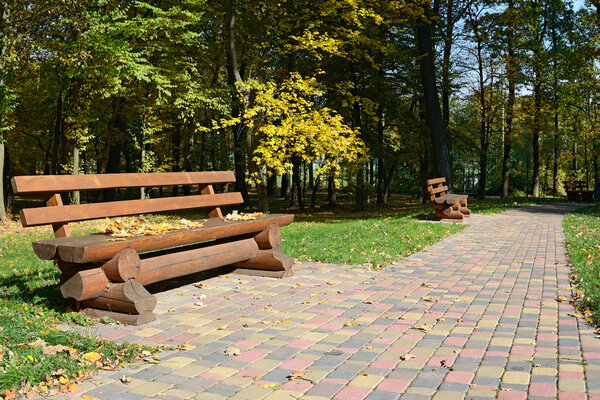 Wooden bench in the autumn park