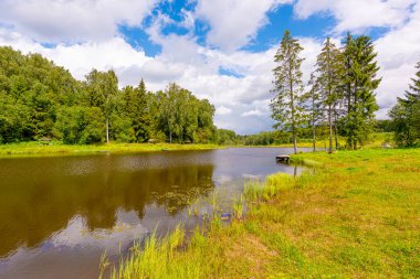 Açık bir yaz gününde huş ağaçlarıyla dolu bir Rus köyündeki göletin kıyısında..