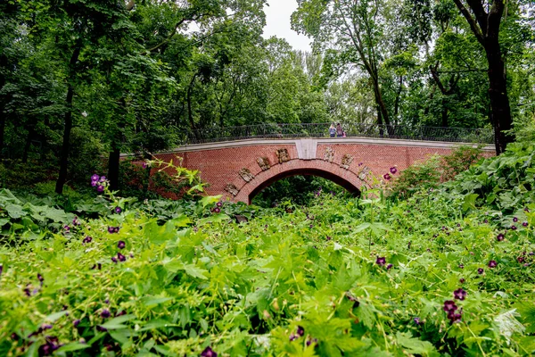 Pietra Mattone Ponte Epoca Nel Parco Una Giornata Estiva Erba — Foto Stock