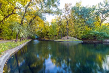 Sonbahar Park su birikintisi. Açık gökyüzü arka plan sarı ağaçta. Güneşli gün