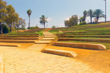 Jaffa İsrail'in Çiçek Bahçe