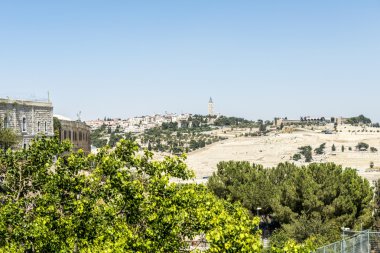 Bethlehem ve zeytin Dağı-İsa'nın doğum yeri