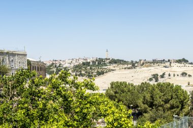 View of Bethlehem and olive mountain- the birthplace of Jesus Christ clipart