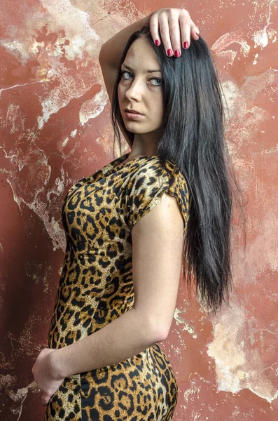 İnce leopar baskı elbiseli uzun saçlı esmer kız — Stok fotoğraf