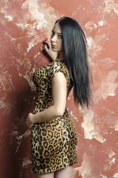 Chica morena delgada con pelo largo en vestido estampado de leopardo —  Fotos de Stock