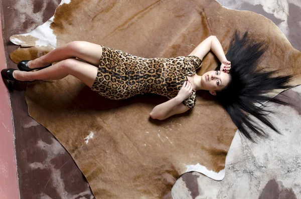 Slim brunette girl with long hair in leopard print dress Stock Picture