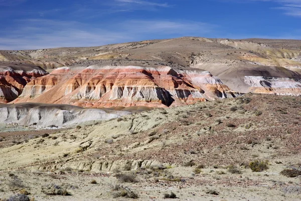 Paesaggio in patagonia — Foto Stock