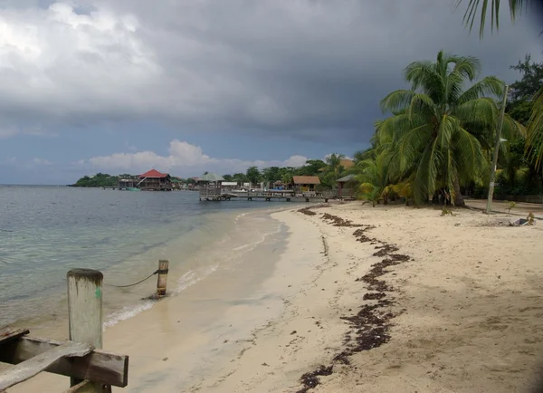 Plage en le Honduras — Photo