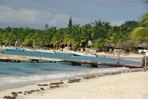 Stranden i Honduras — Stockfoto