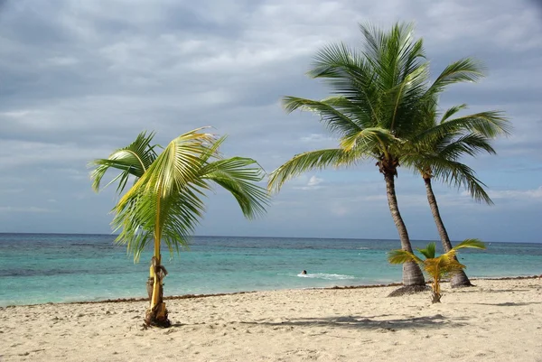 Stranden i Honduras — Stockfoto