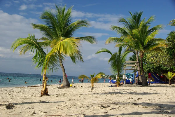 Strand in honduras — Stockfoto