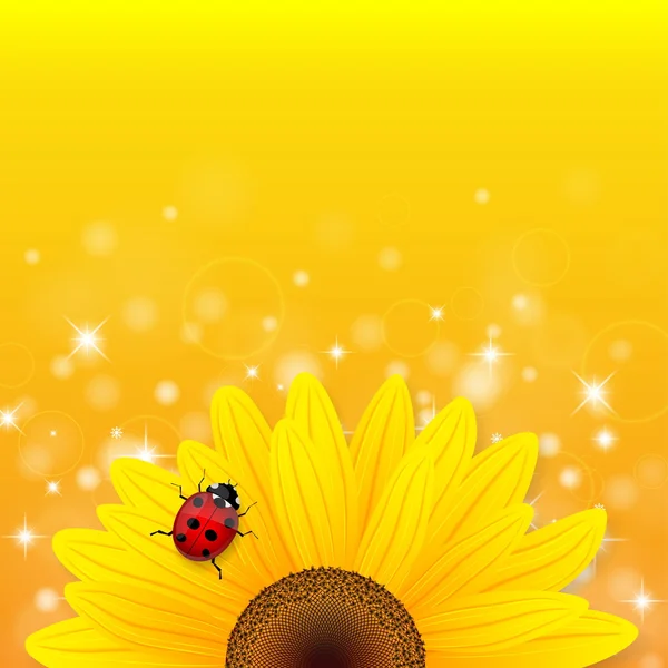 Girasole e coccinella su sfondo giallo . — Vettoriale Stock