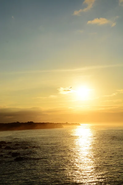 Pedasi Beach — Stok fotoğraf