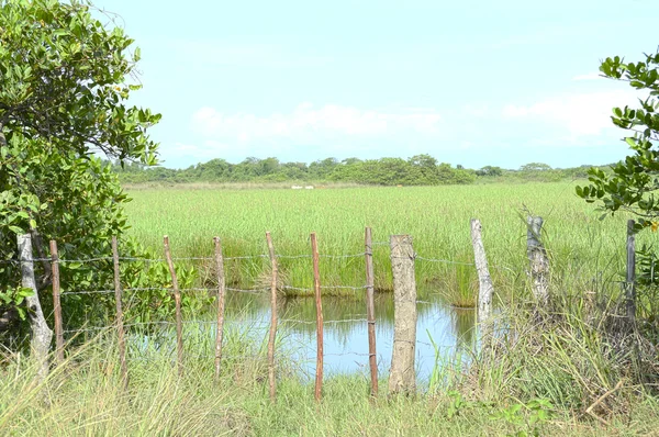 Panama land — Stockfoto