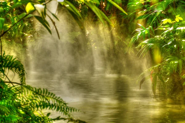 Río Luz temprana —  Fotos de Stock