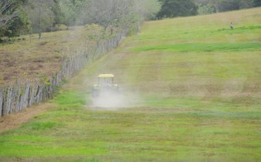 Bush hogging