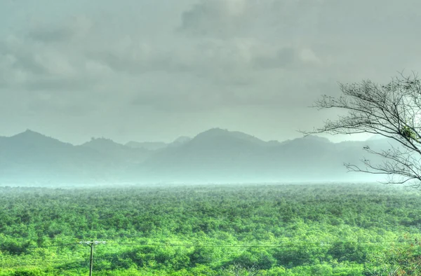 Montaña brumosa — Foto de Stock