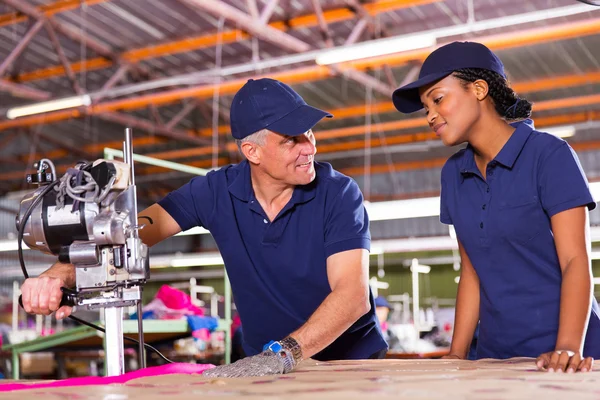 Senior werknemer onderwijs werknemer — Stockfoto