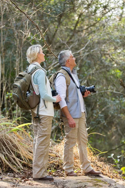 Midden leeftijd wandelaars in valley — Stockfoto