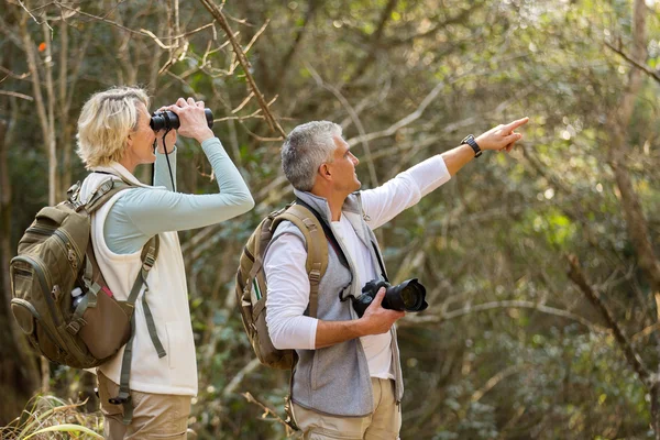 Middle aged hikers at valley — Stock Photo, Image