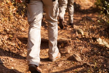 Ormanda yürüyüş yürüyüşçü 