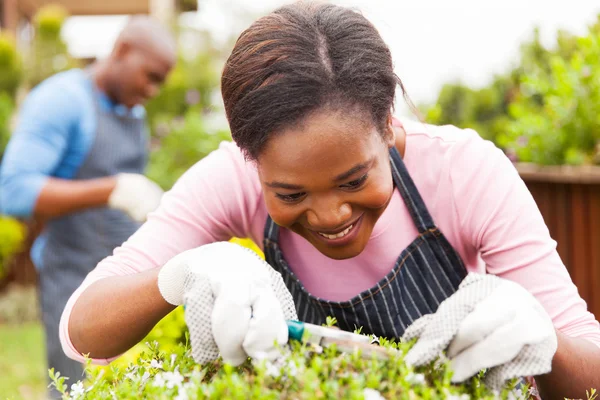 Wanita berkebun dengan h suami — Stok Foto