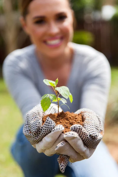 Mulher que detém solo e planta — Fotografia de Stock