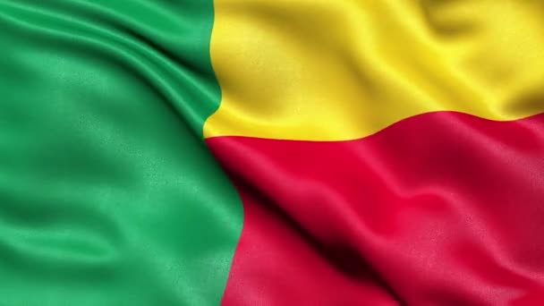 Benin Zászló Zökkenőmentes Hurok — Stock videók