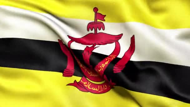 Brunei Zászló Zökkenőmentes Hurkot Animáció — Stock videók