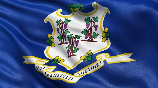 US state flag of Connecticut — Stock Photo, Image