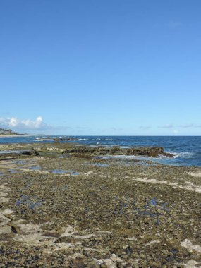 Salvador, Bahia, Brezilya 'da Rocky Coastline ve Ocean View