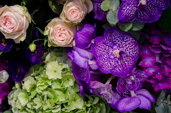 Mooie bloemen compositie — Stockfoto