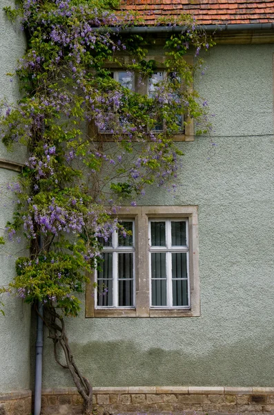 Ventana en el viejo estilo — Foto de Stock