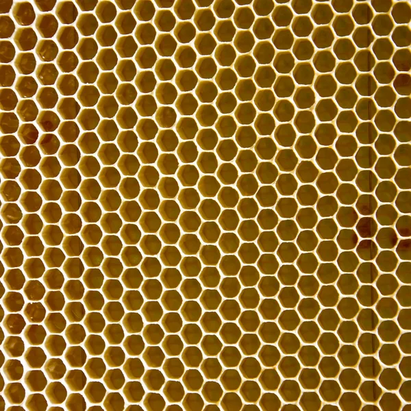 Tom honeycomb vax — Stockfoto