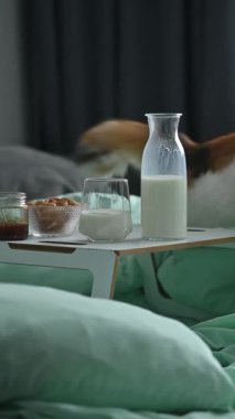 Küçük tahta bir tepside bir bardak süt, kurabiye ve bal ile yatakta sıcak bir kahvaltı. Yumuşak pastel yatak sakin bir ev atmosferi yaratır. Konfor kavramı, yavaş sabah, kişisel bakım, ev yaşam tarzı, ya da aile hafta sonu.