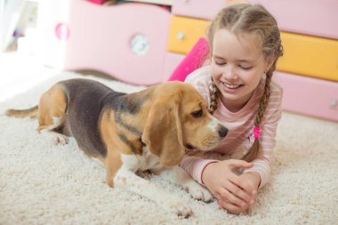 Köpeği olan mutlu bir çocuk. Evcil hayvanlı bir kızın portresi. Beagle bir genci yalıyor..