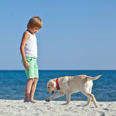 Mutlu çocuk mavi gökyüzüne karşı deniz kıyısında köpeğiyle oynuyor. En iyi arkadaşlar tatilde eğlenir, denize karşı kumsalda oynarlar..