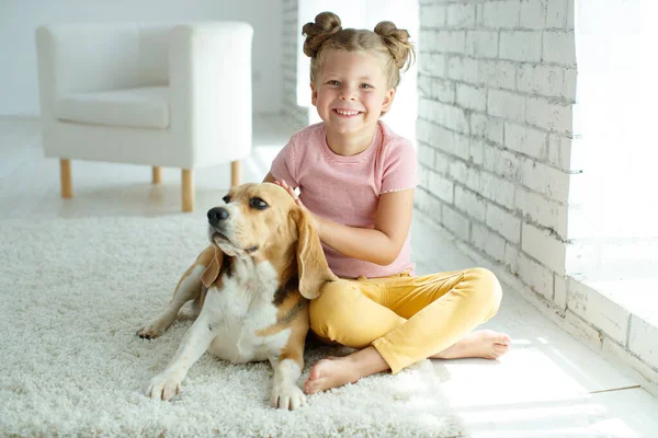 Köpeği olan mutlu bir çocuk. Evcil hayvanlı bir kızın portresi. Beagle bir genci yalıyor..
