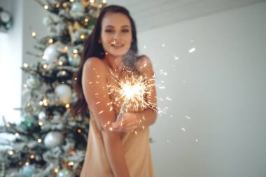 Güzel esmer kız maytaplarla poz veriyor. Köknar ağacıyla sıcacık bir Noel süsü.